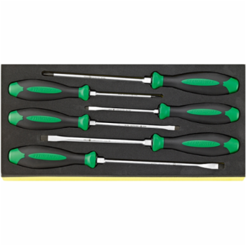 STAHLWILLE  Screwdriverset DRALL + 6-pieces in TCS inlay
